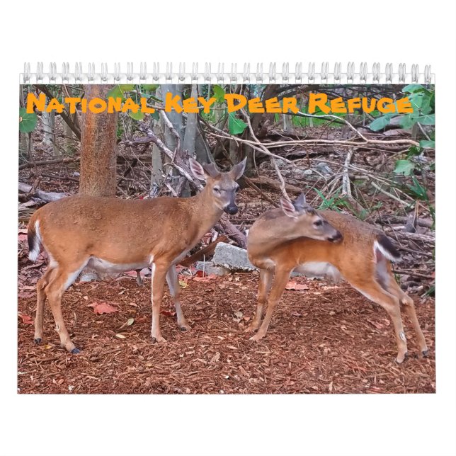 Calendrier National Key Deer Refuge (Protection)