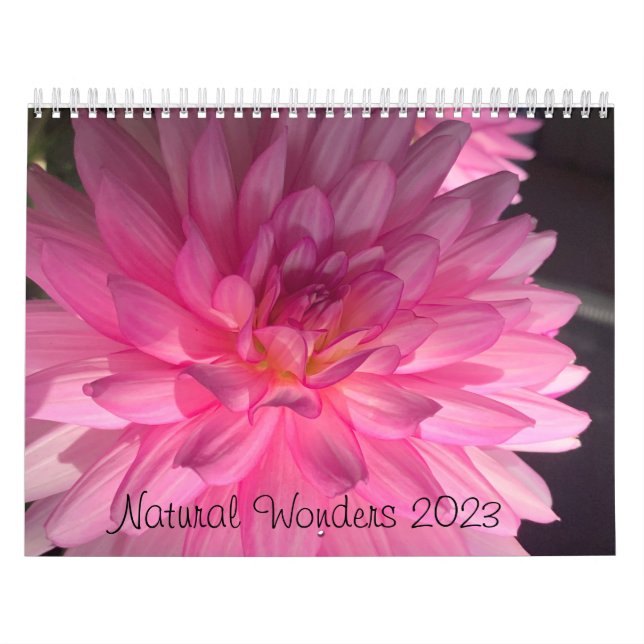Calendrier Natural merveille Deux pages MediumCalendar, blanc (Protection)