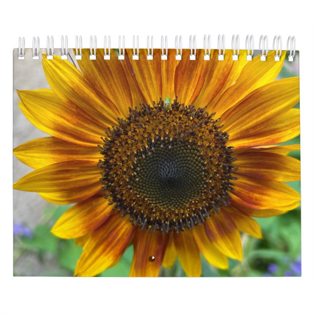 Calendrier Nature Calendar (Protection)