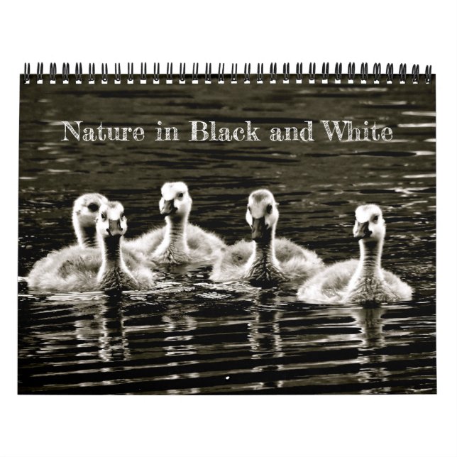 Calendrier Nature en noir et blanc (Protection)