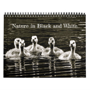 Calendrier Nature en noir et blanc