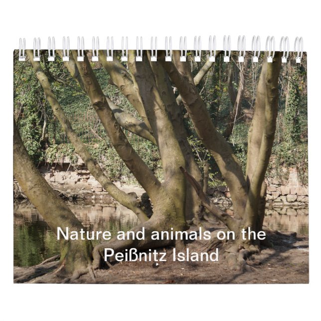Calendrier Nature et animals on the Peißnitz Island (Protection)