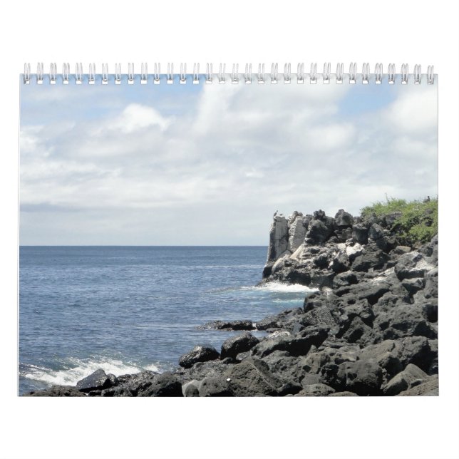 Calendrier nature of the Tortues d'eau douce (Protection)