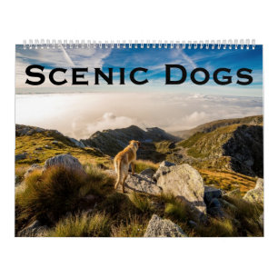 Calendrier Nature pittoresque de chiens