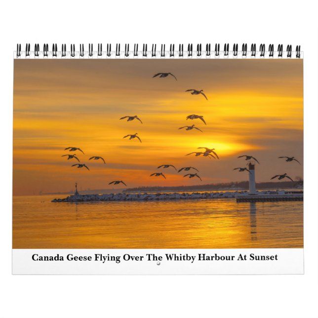 Calendrier Nature Pour 2023 (Protection)