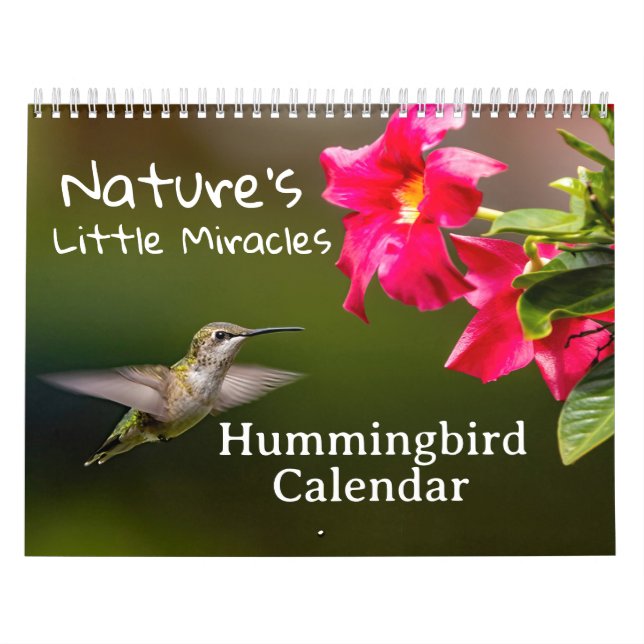 Calendrier Nature's Little Miracles Hummingbirds (Protection)