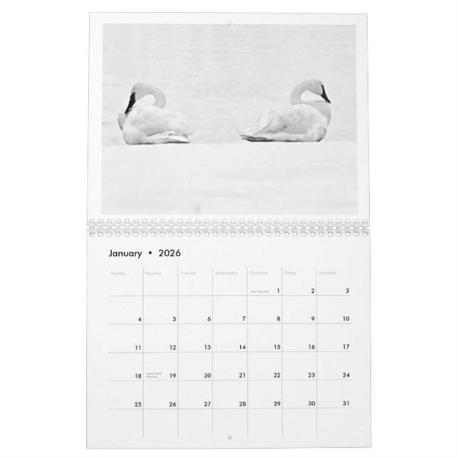 Calendrier Nature's Perspectives - 2026 Wall Calendar (Jan 2026)