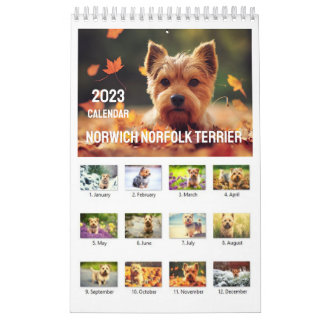 Calendrier Norwich Norfolk Terrier 2023