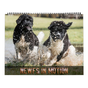 Calendrier Notta Bear Newfs en mouvement