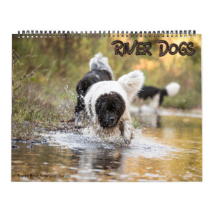 Calendrier Notta Bear Terre-Neuve River Dogs