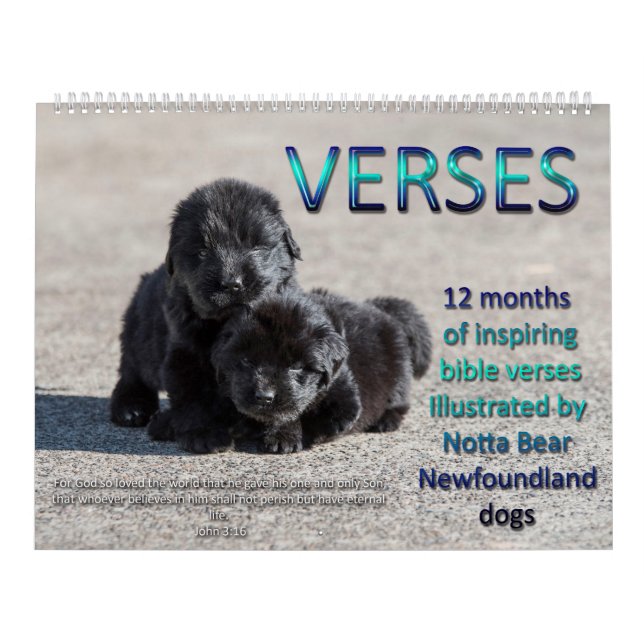 Calendrier Notta Bear Terre-Neuve Versets (Protection)