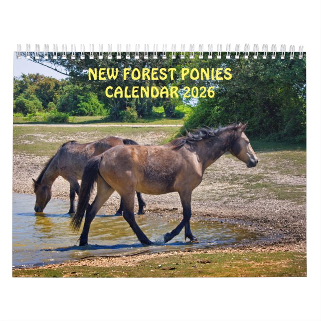 Calendrier Nouveaux pontes forestières (Protection)