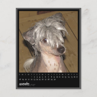 calendrier novembre 2012