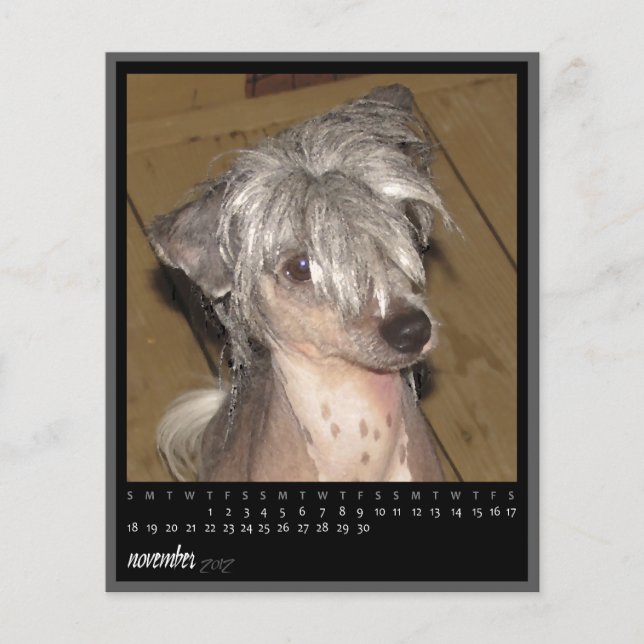 calendrier novembre 2012 (Devant)