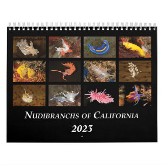 Calendrier Nudibranchs de Californie