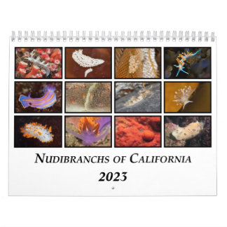 Calendrier Nudibranchs de Californie