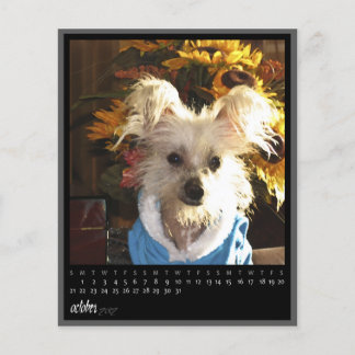 calendrier octobre 2012