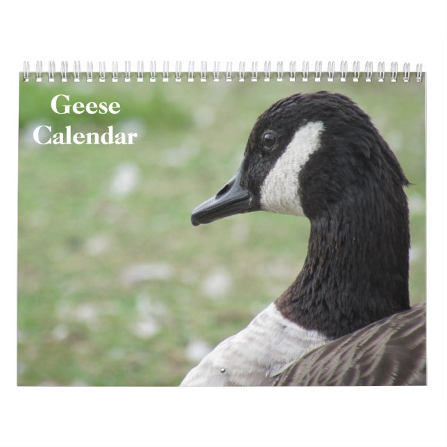 Calendrier Oies 2027 (Protection)