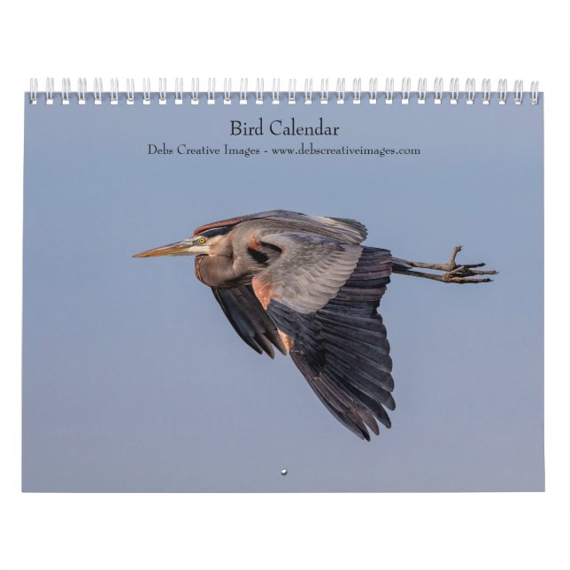 Calendrier Oiseau 2026 (Protection)