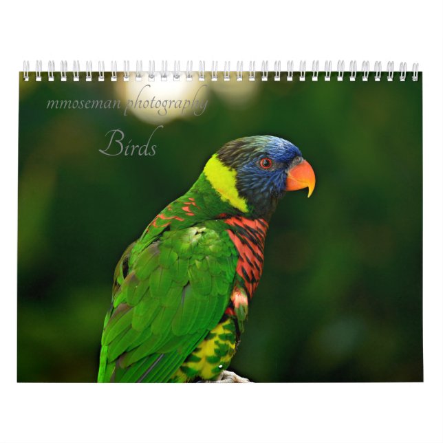Calendrier Oiseaux (Protection)