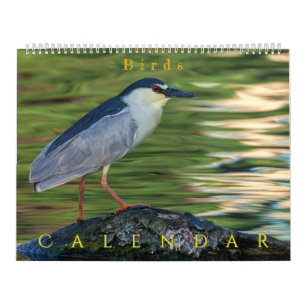 Calendrier Oiseaux