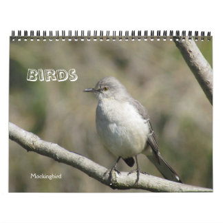 Calendrier - Oiseaux