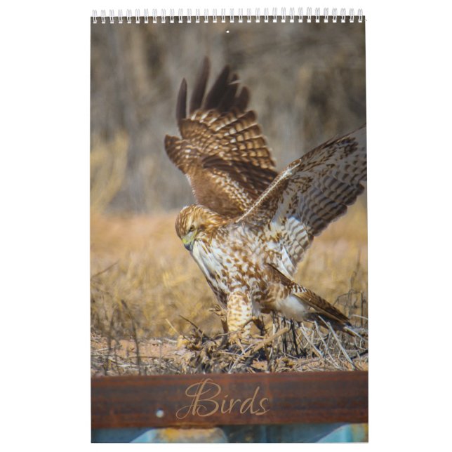 Calendrier oiseaux (Protection)