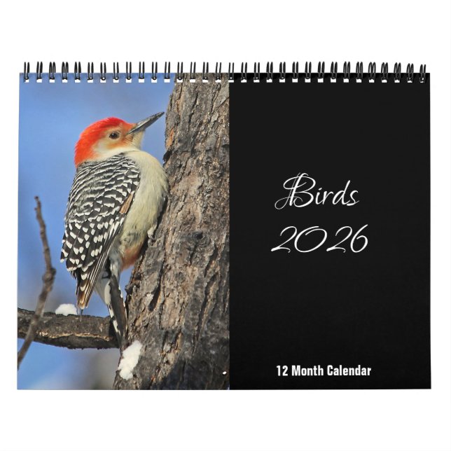 Calendrier Oiseaux 2026 (Protection)