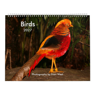 Calendrier Oiseaux 2027