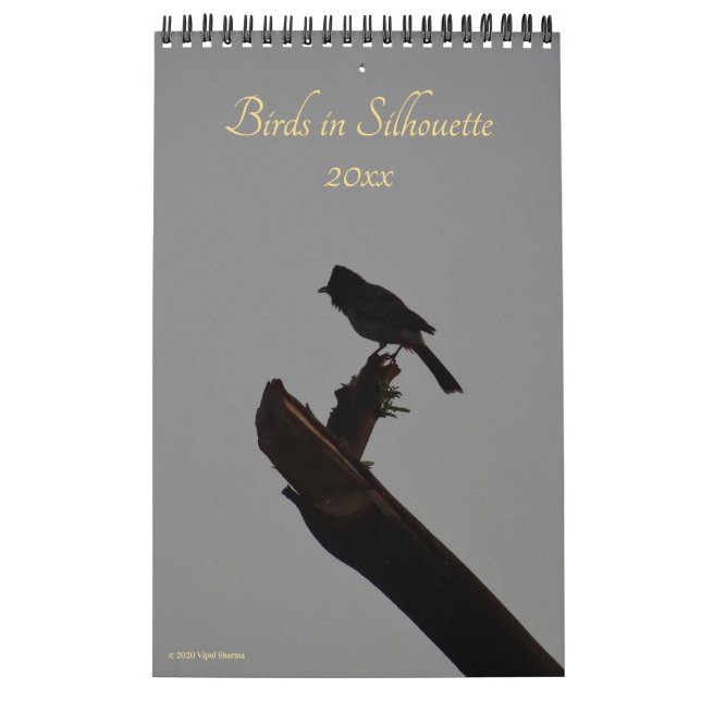 Calendrier Oiseaux à Silhouette 2026 Faune et nature Photo (Protection)