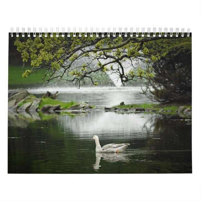 Calendrier Oiseaux aquatiques (Protection)