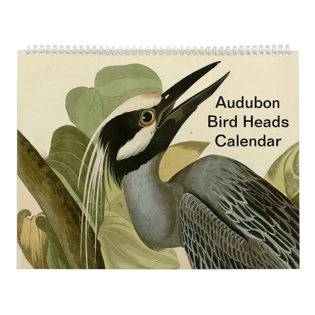 Calendrier Oiseaux Audubon (Protection)