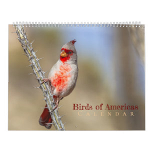 Calendrier Oiseaux d'Amérique