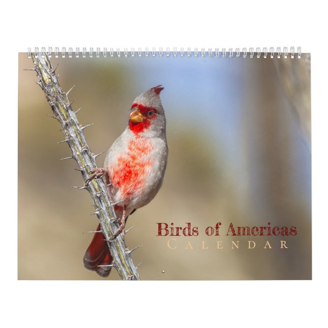 Calendrier Oiseaux d'Amérique  (Protection)