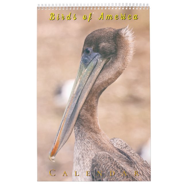 Calendrier Oiseaux d'Amérique (Protection)