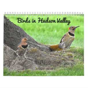 Calendrier Oiseaux dans la vallée de l'Hudson