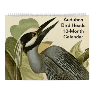 Calendrier Oiseaux d'Audubon 18 mois
