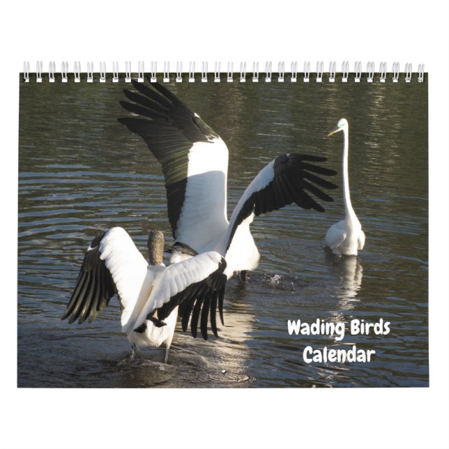 Calendrier Oiseaux de chargement (Protection)