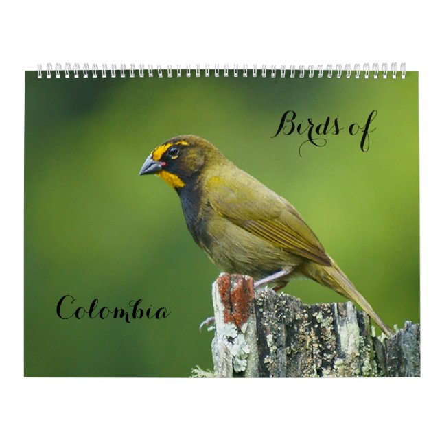 Calendrier Oiseaux de Colombie (Protection)