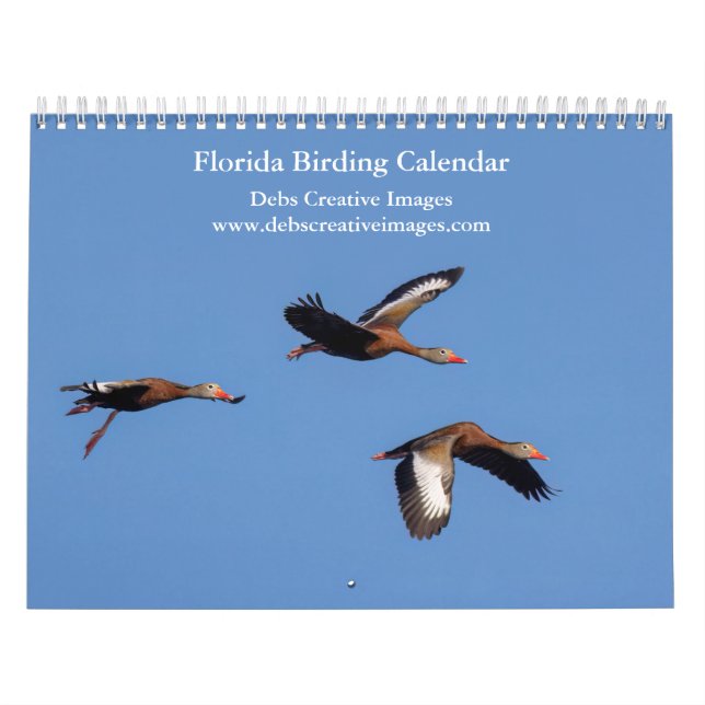 Calendrier Oiseaux de Floride 2026 (Protection)