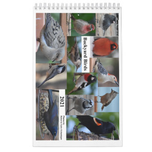 Calendrier Oiseaux de Jardin du milieu de l'Atlantique