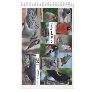 Calendrier Oiseaux de Jardin du milieu de l'Atlantique