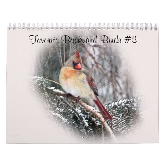 Calendrier Oiseaux de Jardin favoris #3 (Protection)