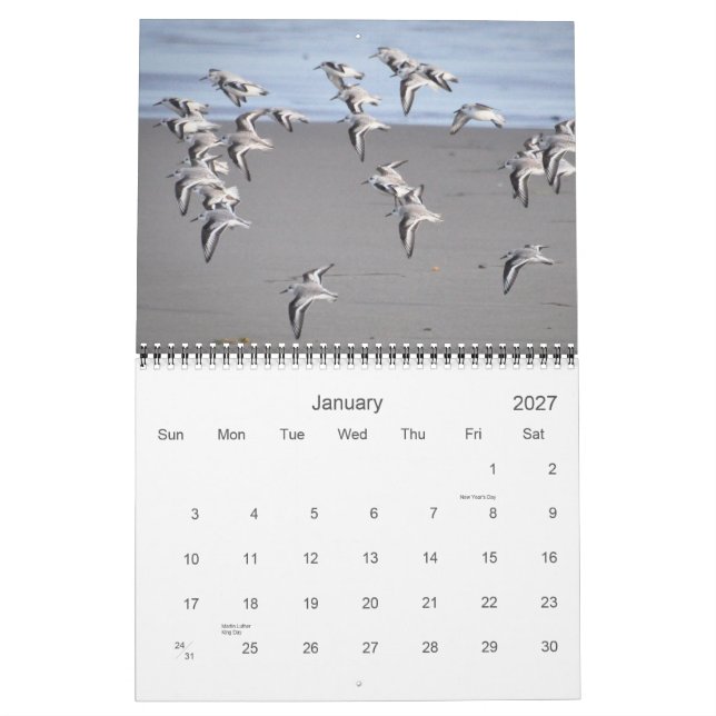 Calendrier Oiseaux de Mendocino (Jan 2027)