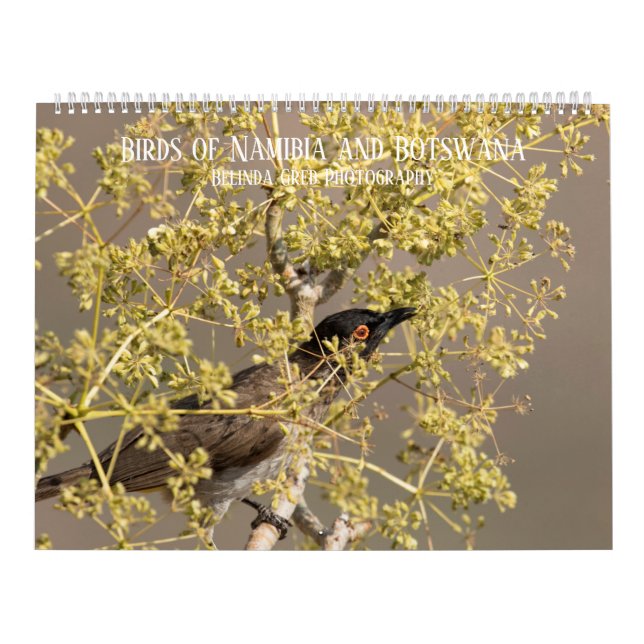Calendrier Oiseaux de Namibie et du Botswana (Protection)