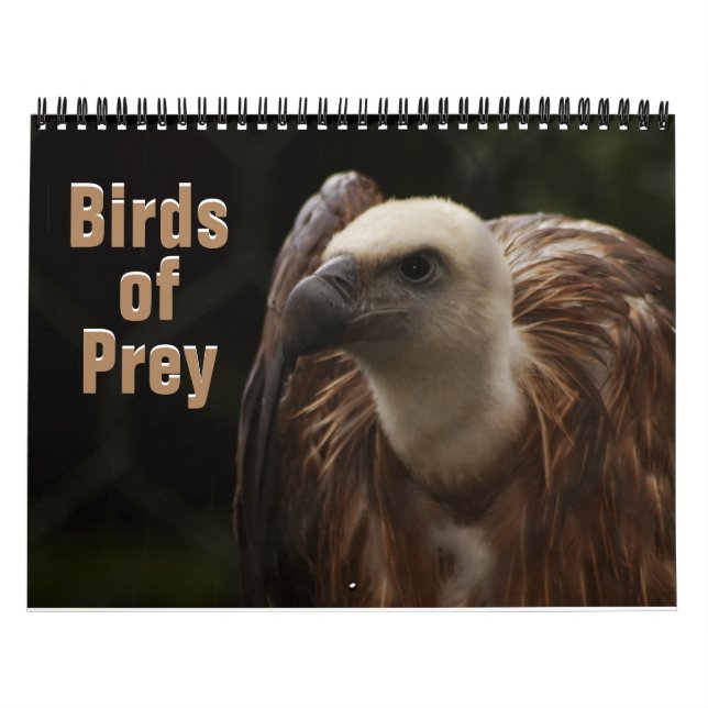 Calendrier Oiseaux de Prey 2022 (Protection)