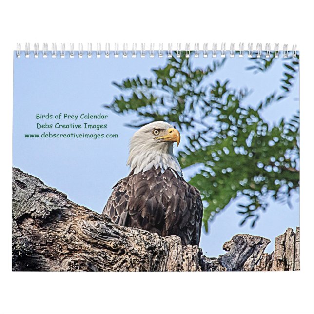 Calendrier Oiseaux de proie 2026 (Protection)