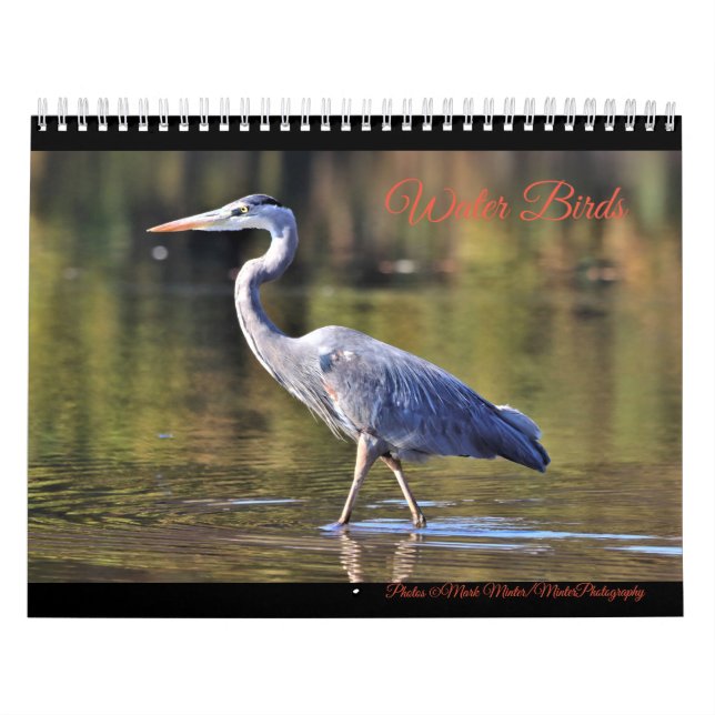 Calendrier Oiseaux d'eau (Protection)
