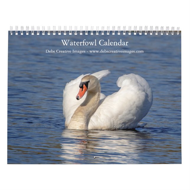 Calendrier Oiseaux d'eau 2026 (Protection)