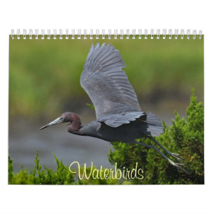 Calendrier Oiseaux d'eau 4
